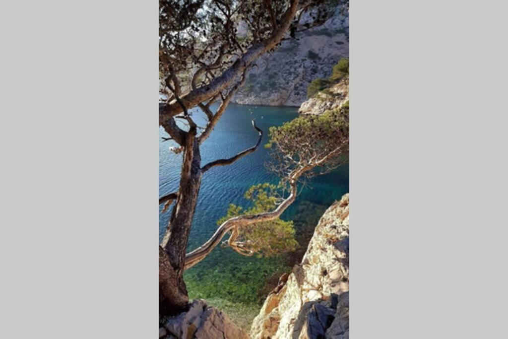 Suite Sur La Mer Marseille Corniche Bagian luar foto